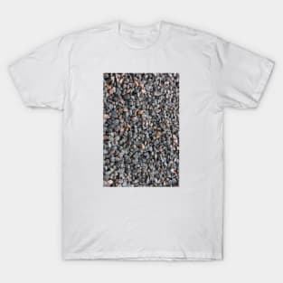 Wet rocks on the beach T-Shirt